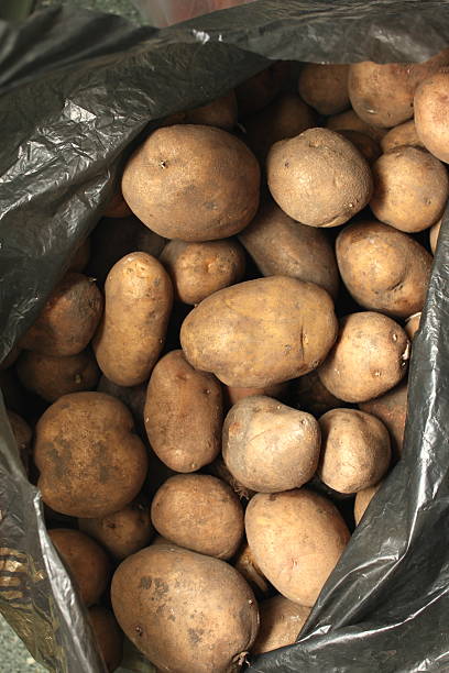 istock bag of potatos 507126617