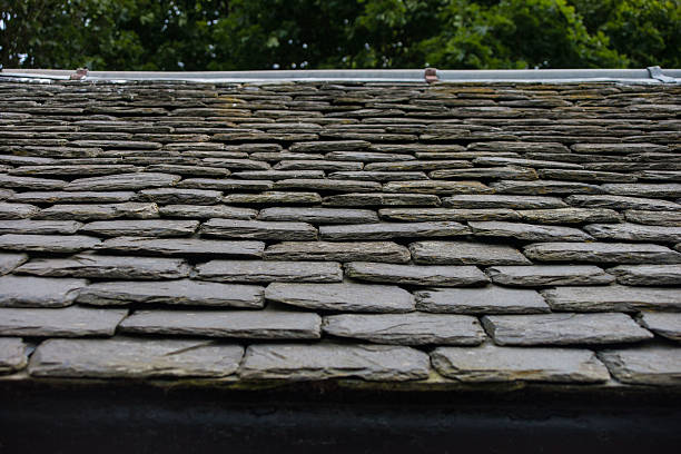 istock Roof slates 507126623