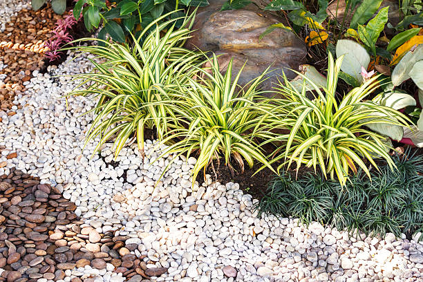 istock Landscaping combinations of plant and grass 507142212