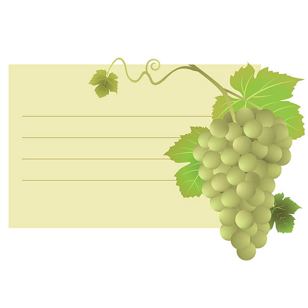 card with grapes illustration vector art illustration