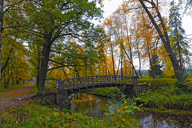istock Picturesque autumn landscape with old bridge over channel 507143890
