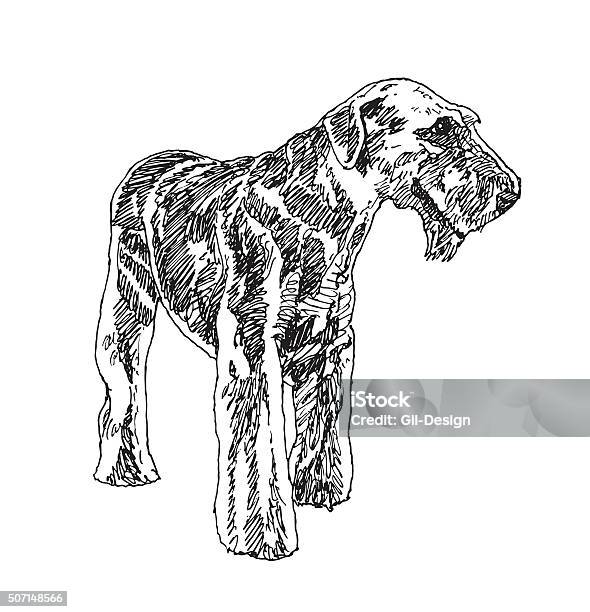 Airedale Terrier Dog Vector Stock Illustration - Download Image Now - Airedale Terrier, Animal, Animal Body Part