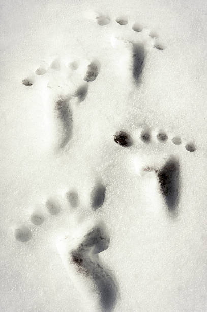 istock Small traces/footprint on white winter snow surface. Outdoors image. 507151804
