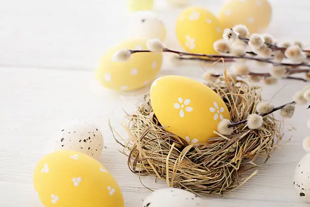 colorful easter eggs and willow branches