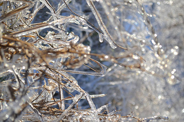 istock Beautiful winter landscape. 507153898