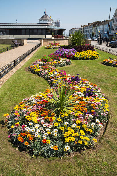 Swirl of a pretty flowerbed in Herne Bay, Kent, UK Swirl of a pretty flowerbed in Herne Bay, Kent, UK herne bay stock pictures, royalty-free photos & images