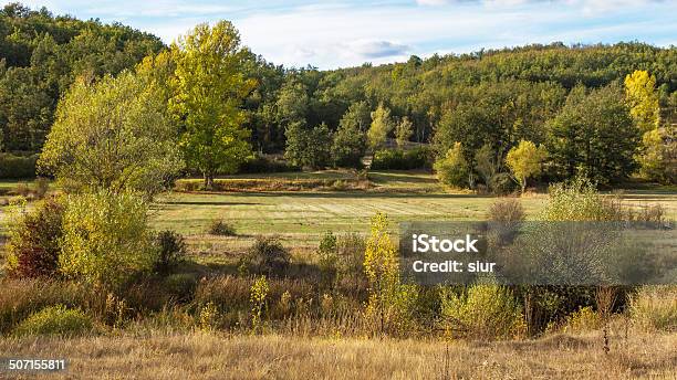 Landscape With Oak Forest Valley Paisaje Stock Photo - Download Image Now - Alamos, Autumn, Beauty In Nature