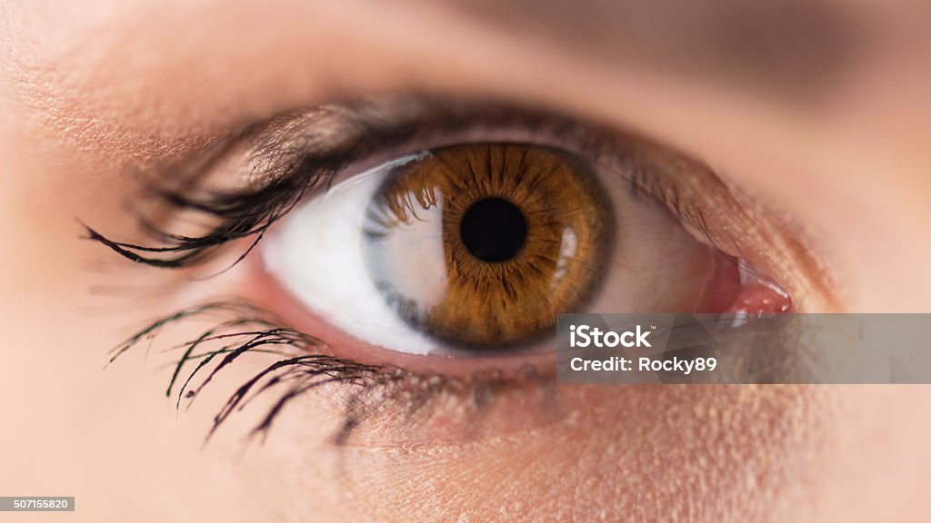 Brown eyes - close up Stunning brown eyes of a young woman, selective focus Brown Eyes Stock Photo