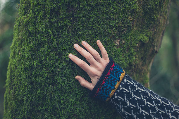 main de femme sur arbre avec de la mousse - lone tree photos et images de collection