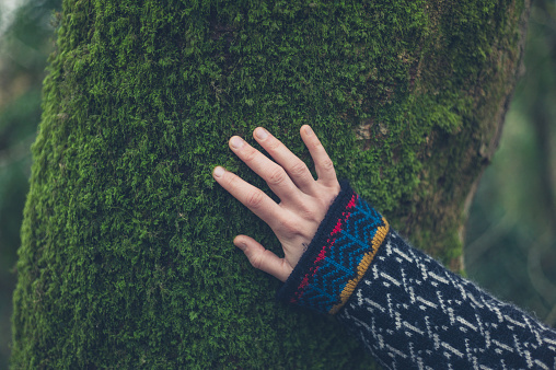 Hand of woman on tree with moss