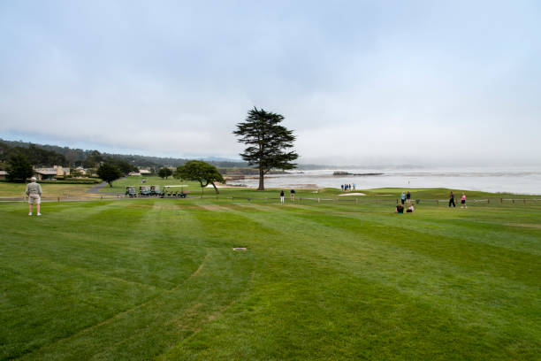 campo de golfe de pebble beach - pebble beach california golf golf course carmel california - fotografias e filmes do acervo