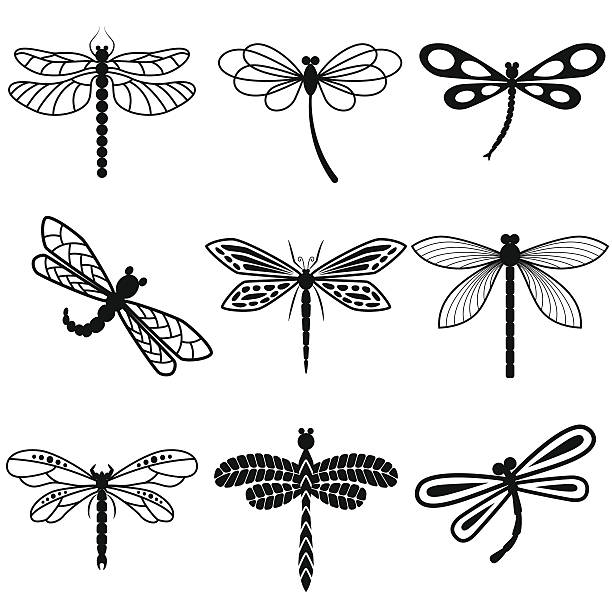Dragonflies, black silhouettes on white background Dragonflies, black silhouettes on white background. Vector dragonfly tattoo stock illustrations