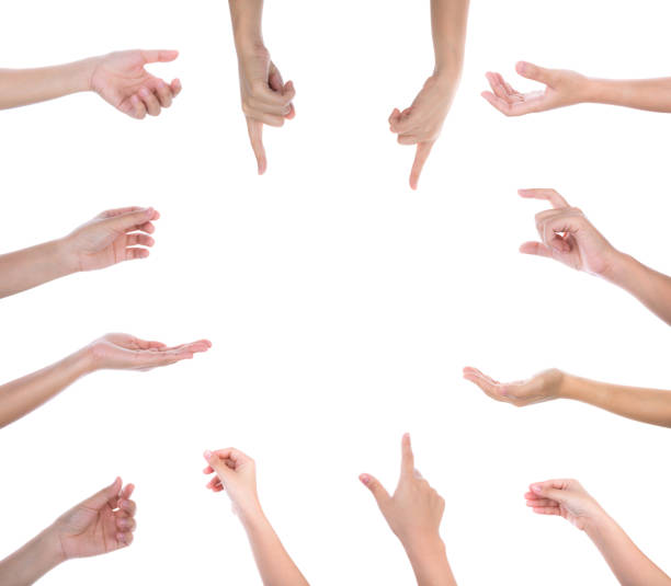 istock collection of woman hands on white background 507158405