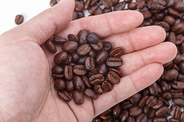 istock hand full of coffee beans 507158761