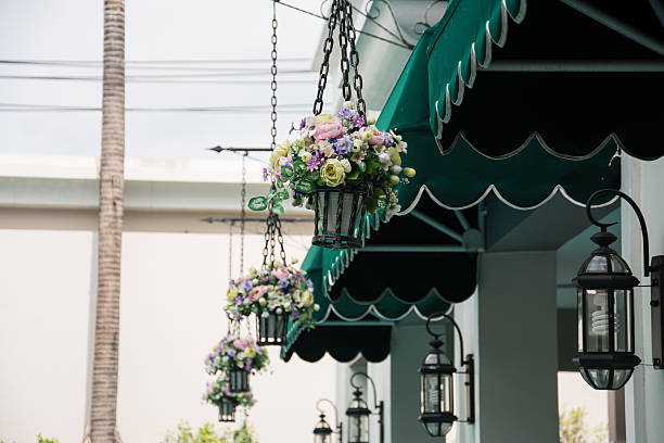 istock hanging basket of flowers 507159403