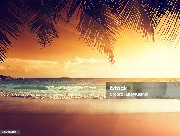 Sunset On The Beach Of Caribbean Sea Stock Photo - Download Image Now - Sunset, Beach, Tropical Climate