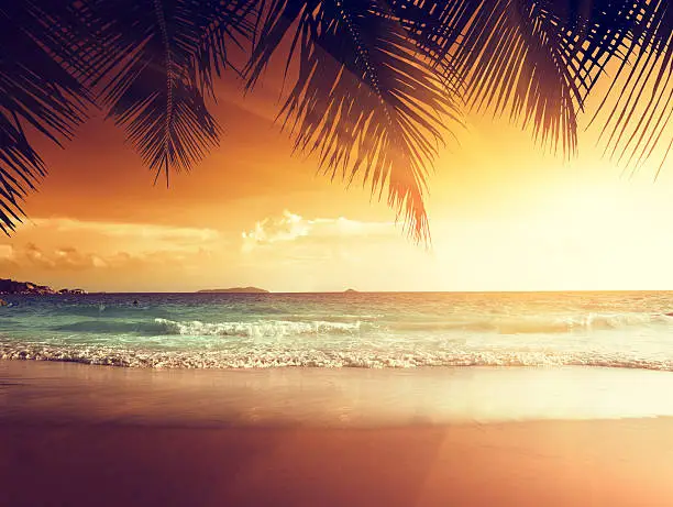 Photo of sunset on the beach of caribbean sea