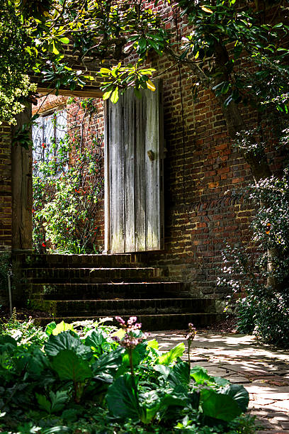 istock Garden steps to a solid wooden door 507161749