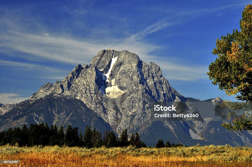 Montanhas cobertas de neve e Artemísia. - Royalty-free Ao Ar Livre Foto de stock