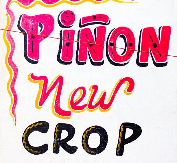 「体を暖めるピニョン新穀物「ログイン鮮やかな色（クローズアップ） - pinon ストックフォトと画像