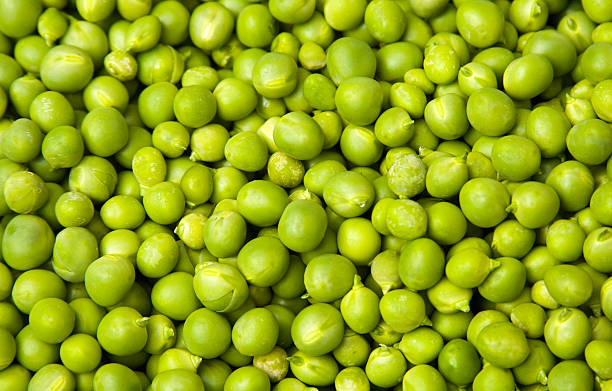 istock Shelled Green Peas, Sunlit, Full Frame Close-Up 507172478
