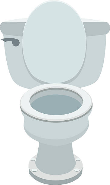 Toilet Bowl A vector cartoon of a toilet bowl bathroom clipart stock illustrations