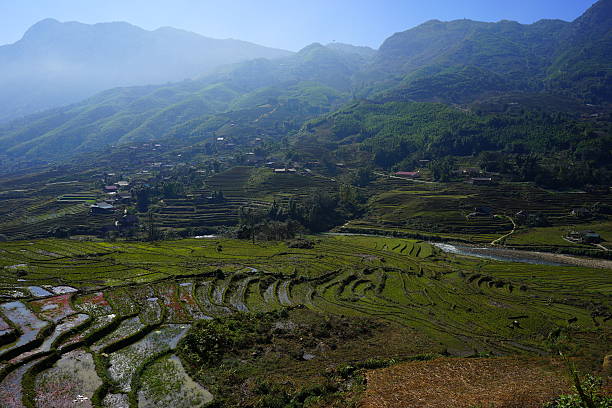istock Valley of Rice Terrace Fields in Sapa, Vietnam 507175654