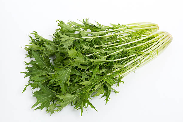 istock Japan of vegetables named mizuna. 507176396