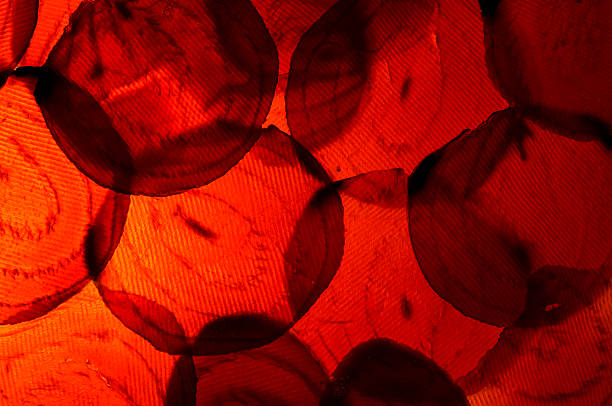 istock Colorful Macro Photo of Bright Red Beets 507176842