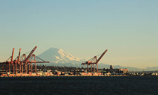 istock Golden Hour harbor View in Seattle 507180194