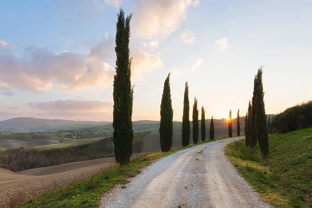 istock Countryside valley at sunny morning 507181444