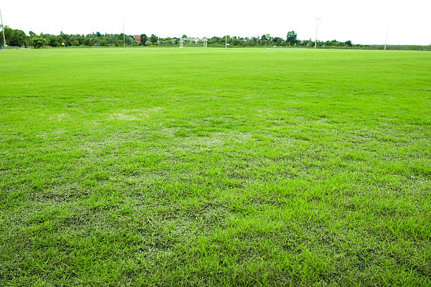 istock Football and Futsal field 507181504