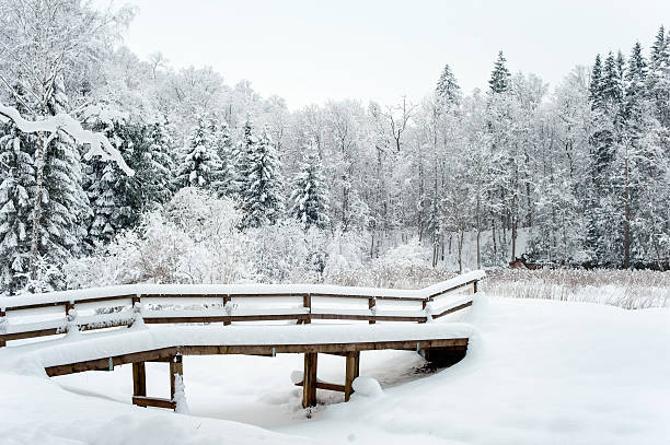 istock Old bridge in winter forest covered with soft clear snow. 507182318