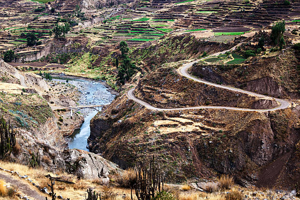 istock terrace on the bank 507182722