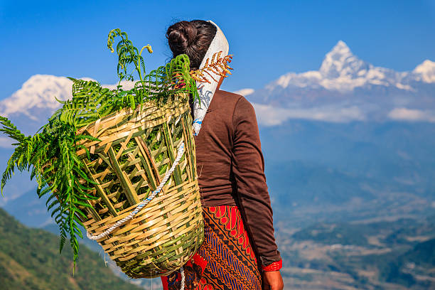 nepali mulher a olhar para montanha machapuchare, pokhara, nepal - mountain himalayas india mountain range imagens e fotografias de stock