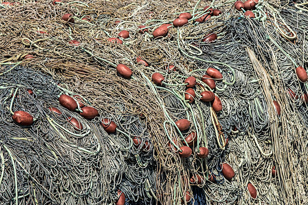 istock Seine net fishing 507184901