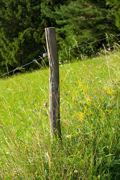 istock Electric Fence with Blooming Pasture 507186539
