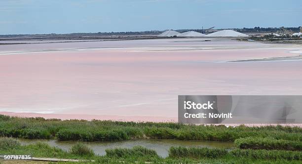 Photo libre de droit de De Salt Lake City À Proximité De Aiguesmortes banque d'images et plus d'images libres de droit de Bleu - Bleu, Camargue, Ciel