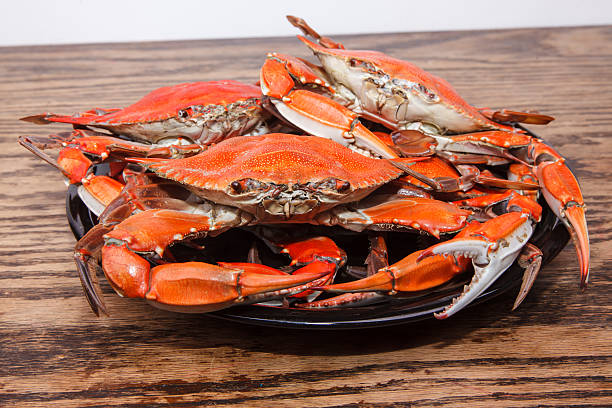 istock Heap of steamed Blue Crabs on a wooden table 507187873