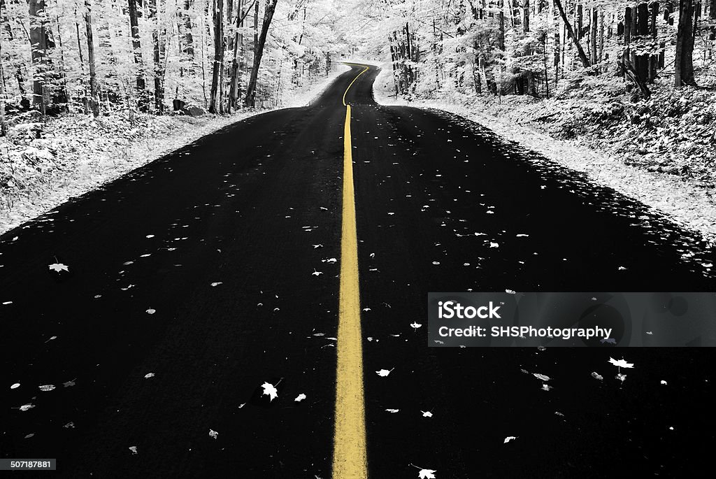 Infrared Autumn Road An infrared photo taken of an road through a forest during the autumn season. Asphalt Stock Photo