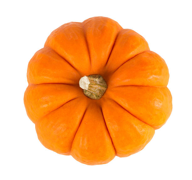 mini-orange kürbis, isoliert auf weiss - miniature pumpkin stock-fotos und bilder