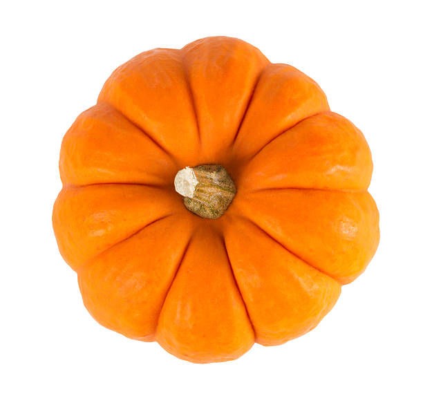 ミニオレンジのパンプキン白で分離 - pumpkin small orange holiday ストックフォトと画像