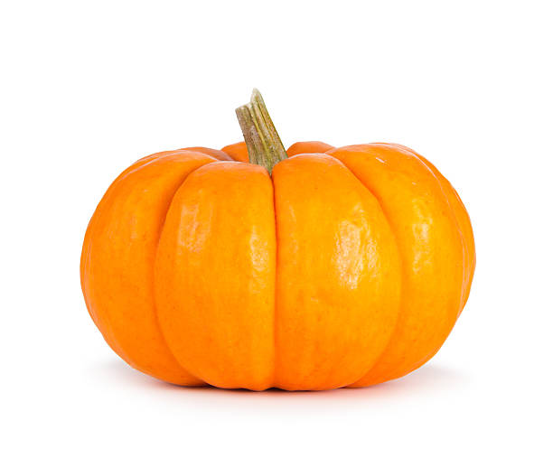 Mini Orange Pumpkin Isolated on White Miniature orange pumpkin isolated on a white background. miniature pumpkin stock pictures, royalty-free photos & images