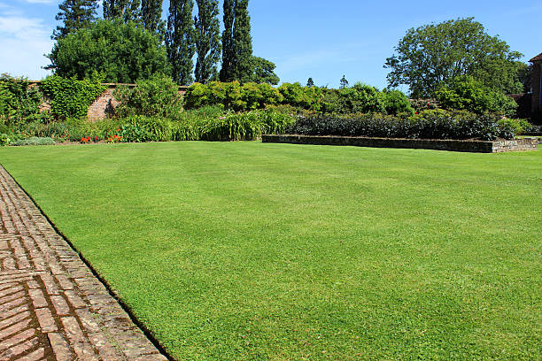 istock Red-brick path, block-paving, paved pathway image, herbaceous-border, flowers, lawn, lombardy-poplars 507188697