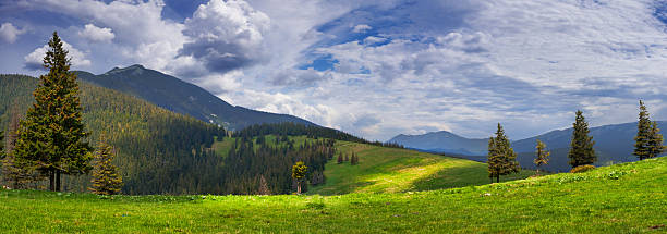 istock Summer landscape in the mountains 507191153