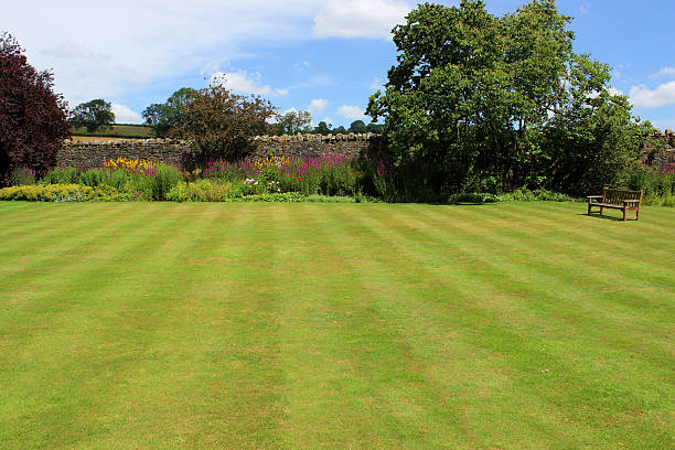 istock Fine green grass image, mown garden lawn turf, flower border 507191441