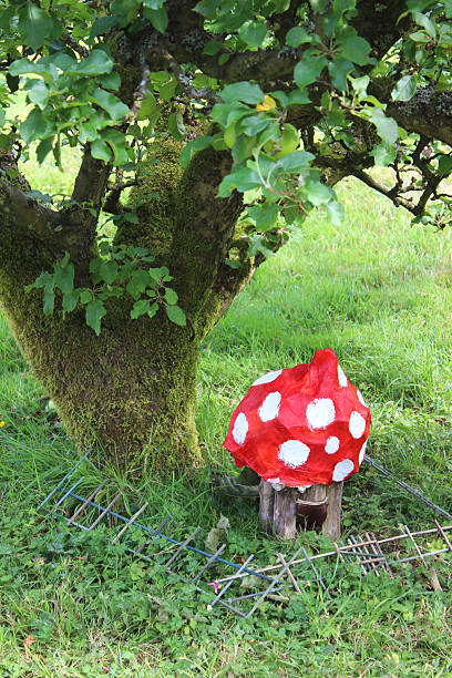 istock Homemade fairytale red and white pixie toadstool / mushroom, fly-agaric / amanita 507192103