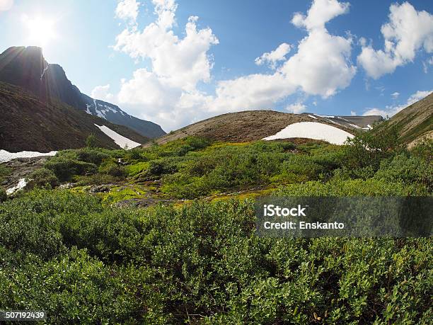 Hibiny Mountain Stock Photo - Download Image Now - Animal Wildlife, Arctic, August