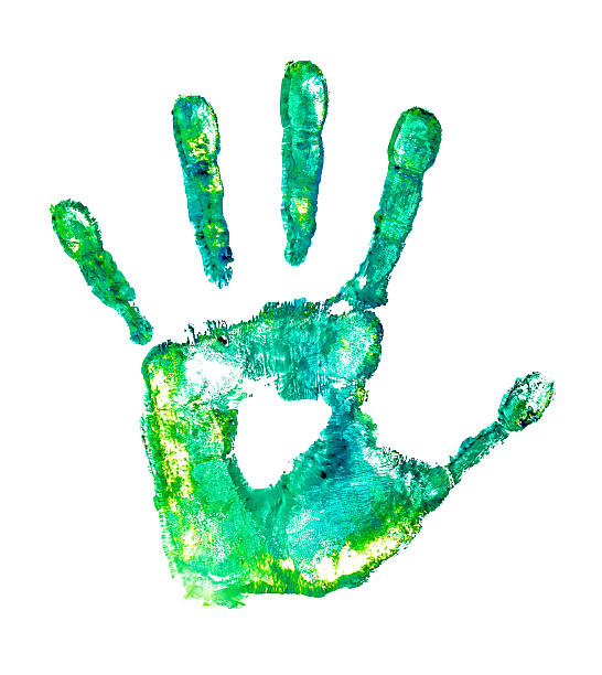 istock colorful handprint on an isolated white background 507192601