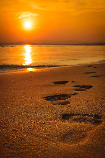 istock Footprints on the beach at sunset. Selected focus. 507203624